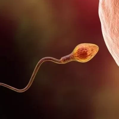 علاج مشاكل الحيوانات المنوية